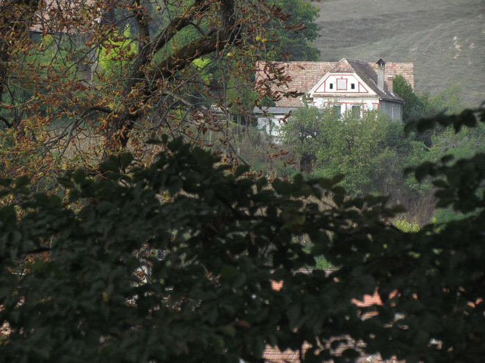 IMG_8740 - Vara - Toamna - Iarna in Transylvania