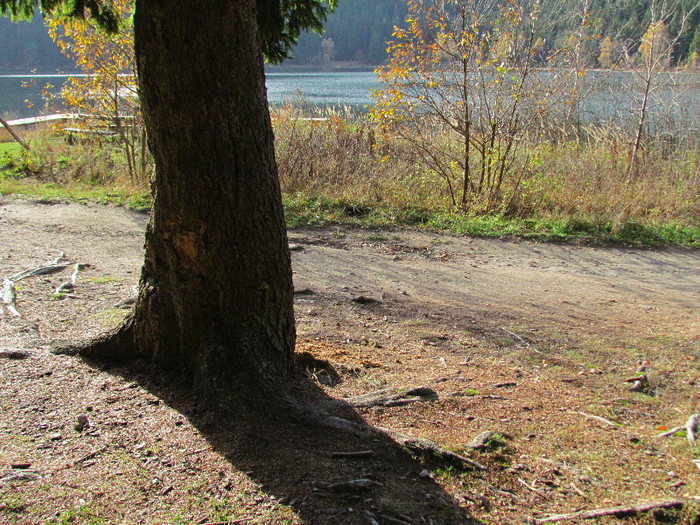 Lacul vulcanic sf Ana - Vara - Toamna - Iarna in Transylvania