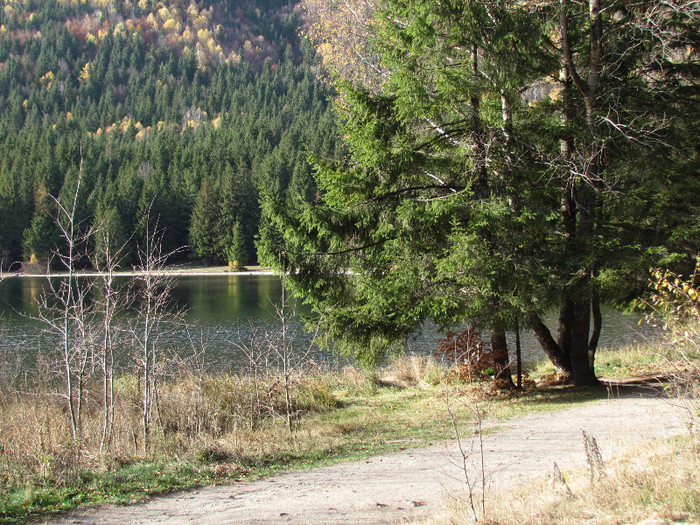 Lacul vulcanic sf Ana - Vara - Toamna - Iarna in Transylvania