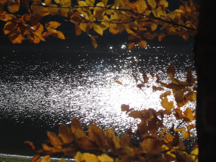 Lacul vulcanic sf Ana - Vara - Toamna - Iarna in Transylvania