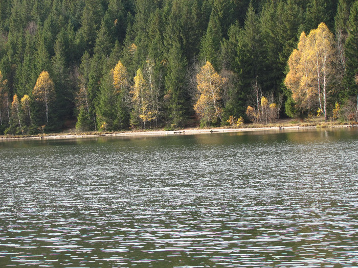 Lacul vulcanic sf Ana - Vara - Toamna - Iarna in Transylvania