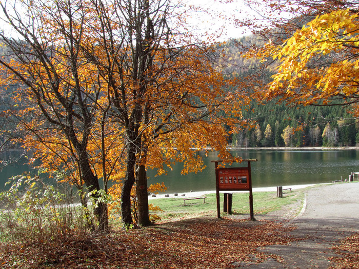 Lacul vulcanic sf Ana - Vara - Toamna - Iarna in Transylvania