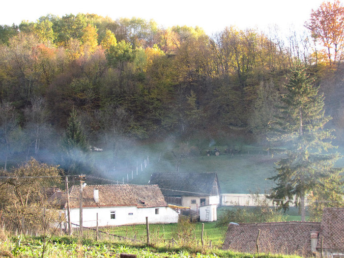 IMG_9527 - Vara - Toamna - Iarna in Transylvania