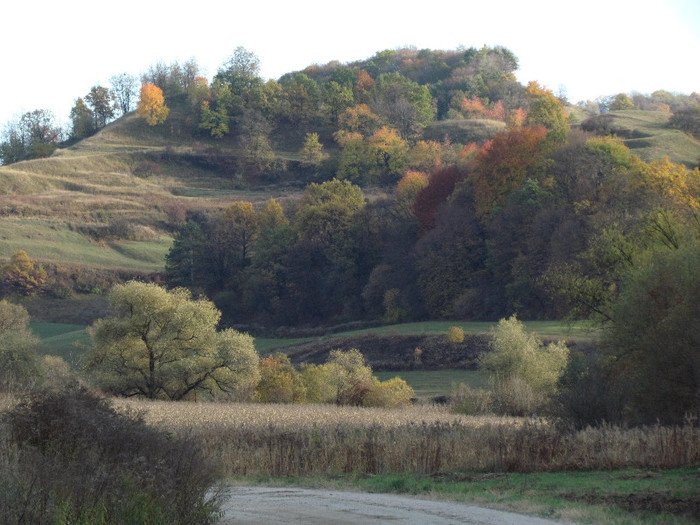 IMG_9512 - Vara - Toamna - Iarna in Transylvania