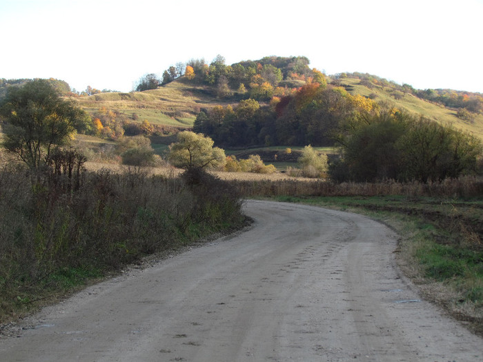 IMG_9509 - Vara - Toamna - Iarna in Transylvania