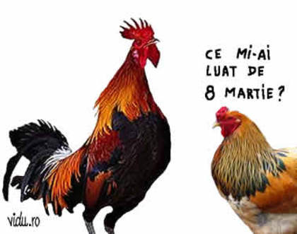 8-martie-ziua-femeii - poze-calcu