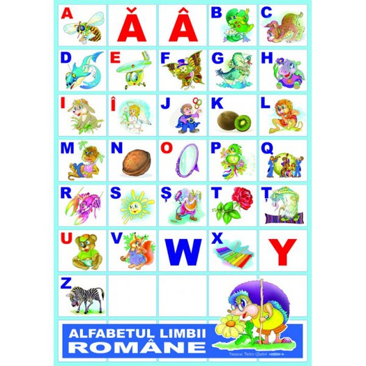 474-510-thickbox - poze-calcu