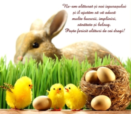 4716_1_1239201928 - poze-calcu