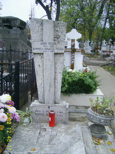 bellu (30) - Cimitirul Bellu