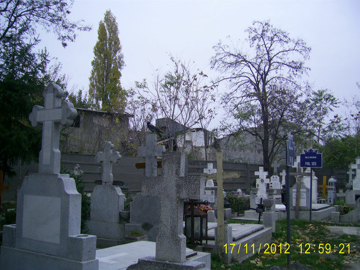 bellu (41) - Cimitirul Bellu