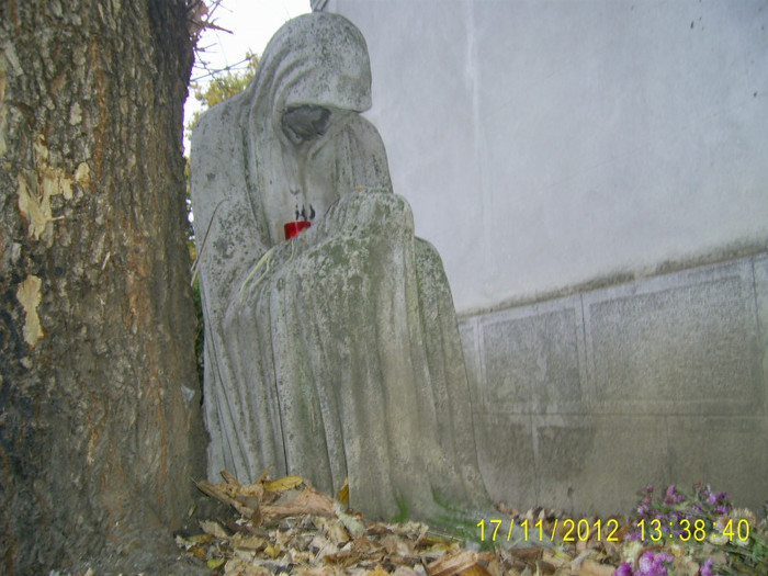 bellu (96) - Cimitirul Bellu