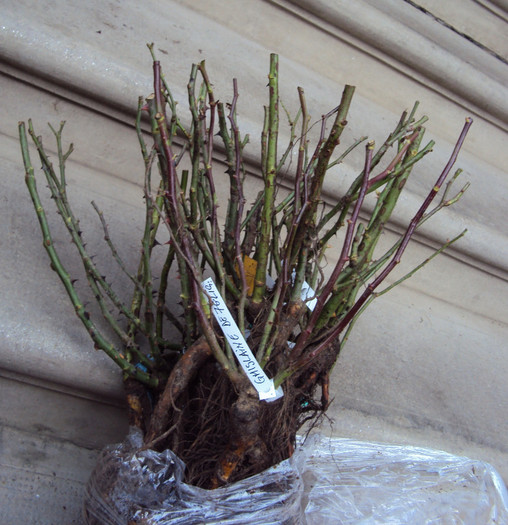 arata super bine - Achizitii toamna 2012