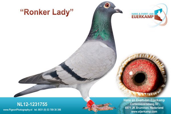 NL12-1231755; Ronker Lady
