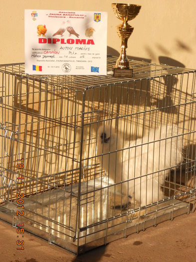 DSCN8087 - Campionii mei la Fauna Banatului Timisoara