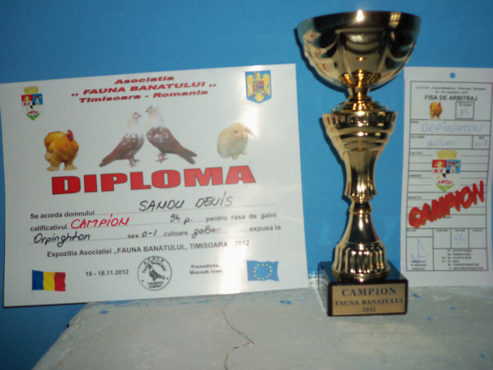 Fauna Banatului Timisoara 17-18 Noiembrie 2012 - DIPLOME SI CUPE