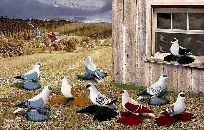 602400_10151266837329311_926259846_n