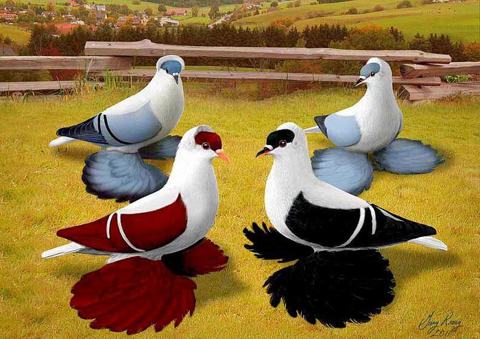 644081_10151266831139311_1935958960_n