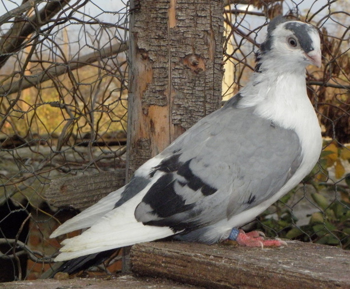 14g.m(2012)