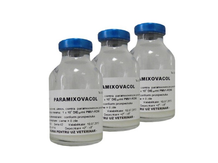 2405_paramixovacol - VACCIN PARAMIXAVIACOL