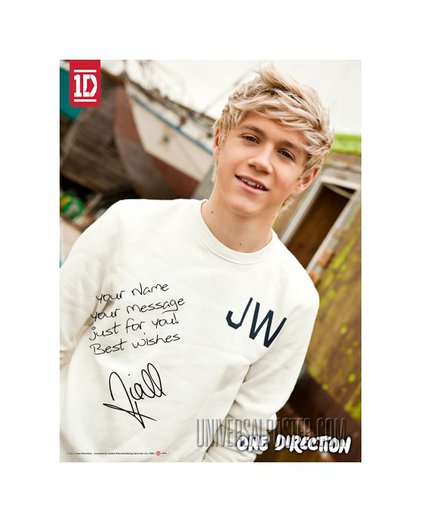 niall - One Direction