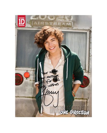 one-direction-harry-and-the-airstream
