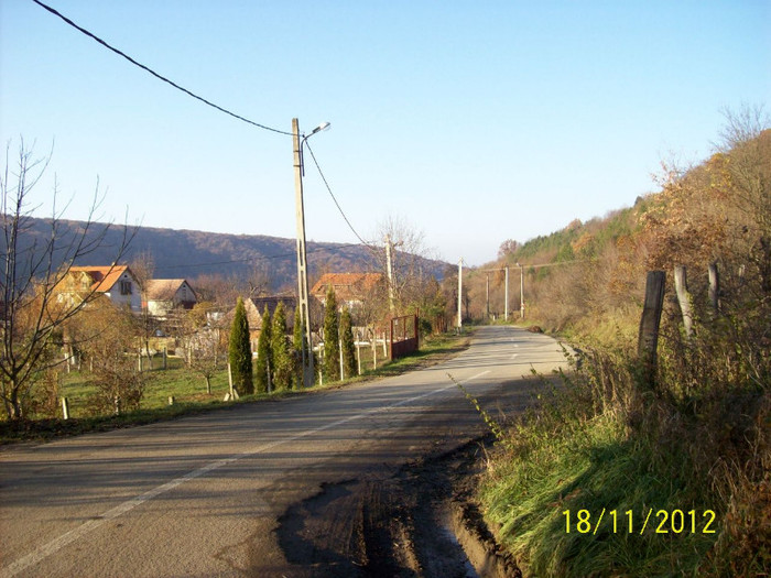 101_2193 Drumul de la manastire ,ce coboara in vale ..