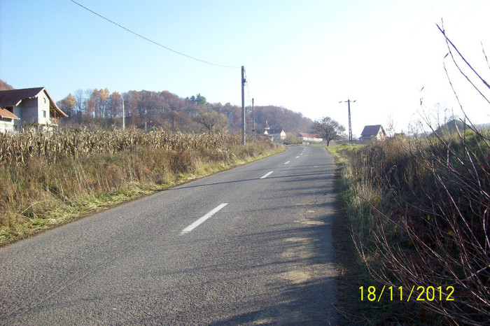 101_2092  Drumul ce urca de pe vale spre manastire ...