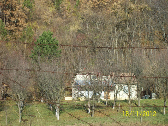 101_2197Casuta de vacanta sub poala padurii...