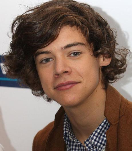 Harry-Styles-Facts[1] - harry styles