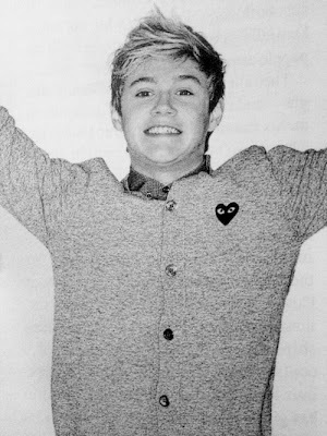 band-boy-cute-irish-niall-horan-Favim.com-298600 - niall horan