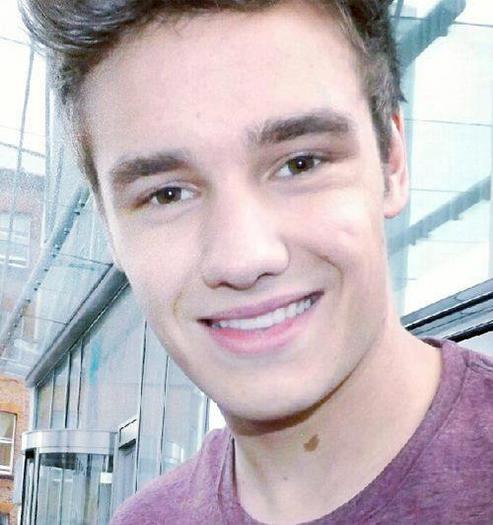 599639_333149153439301_1424507371_n - Copy - liam payne