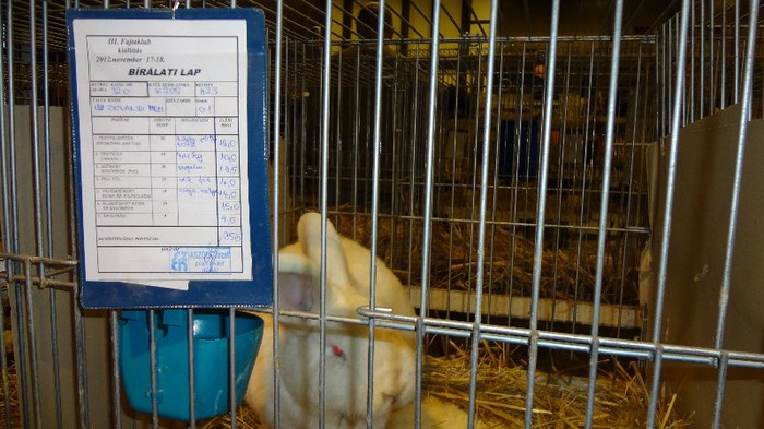 expo ungaria 2012 (40)