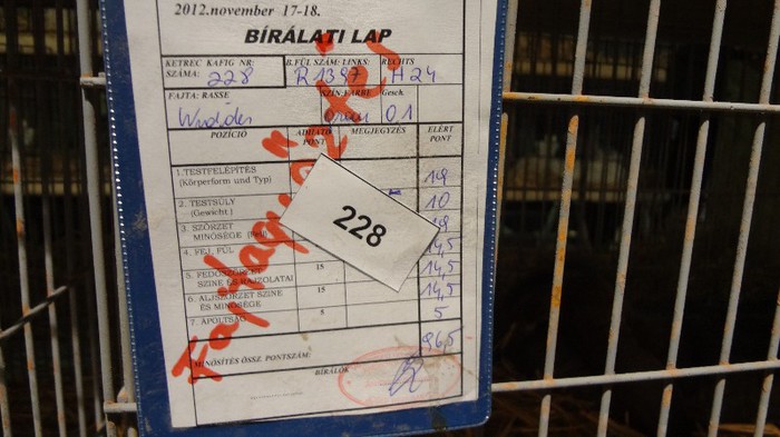 expo ungaria 2012 (55)