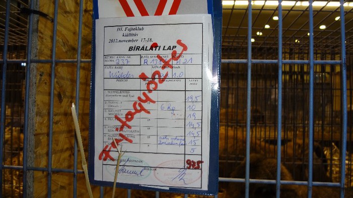 expo ungaria 2012 (57)