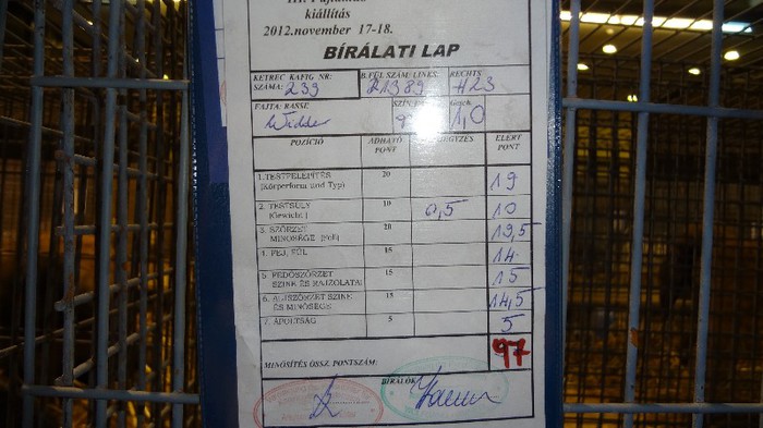 expo ungaria 2012 (61)