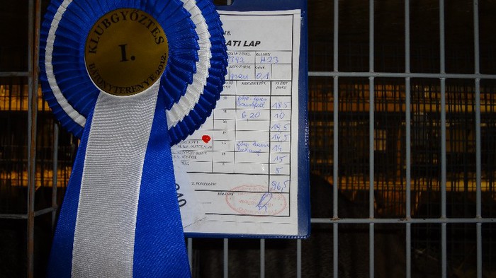 expo ungaria 2012 (62)