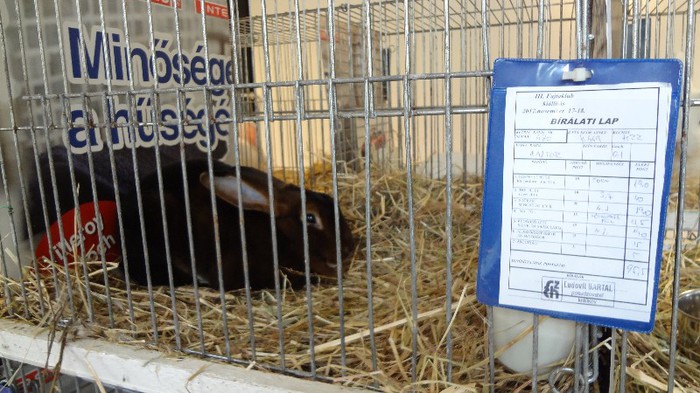 expo ungaria 2012 (79)