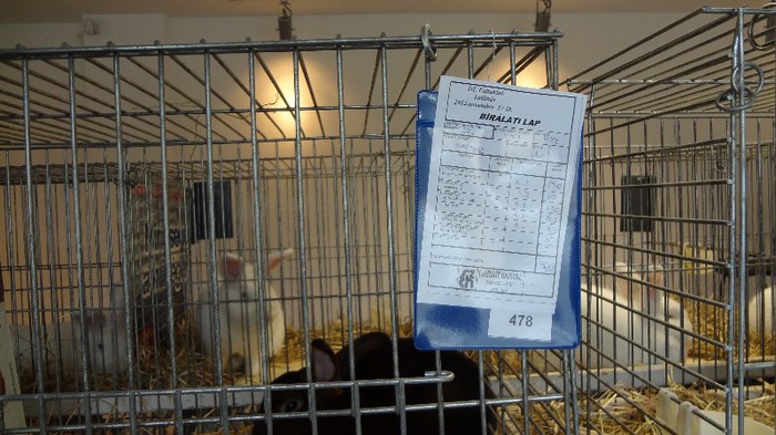 expo ungaria 2012 (82)