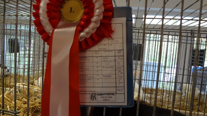 expo ungaria 2012 (100)