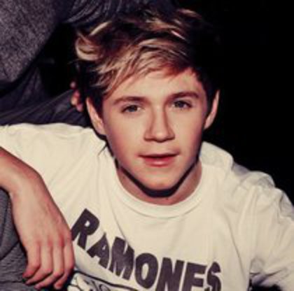 81651185_CKKHDQY - niall horan