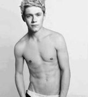 81651233_QYQMIHJ - niall horan