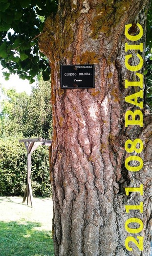 2011 08 BALCIC 090