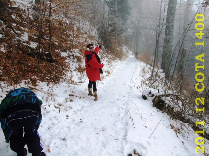 2011-12-28 COTA1400 115 - 2011 12 spre Sinaia