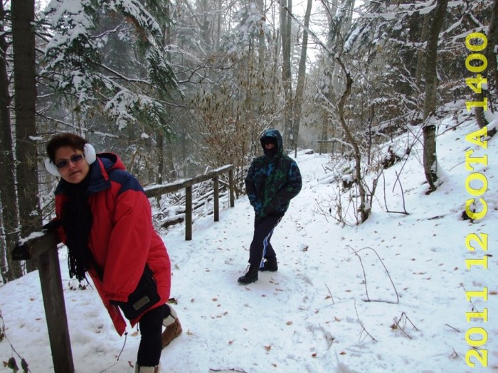 2011-12-28 COTA1400 122 - 2011 12 spre Sinaia