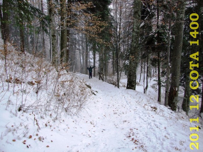 2011-12-28 COTA1400 125 - 2011 12 spre Sinaia