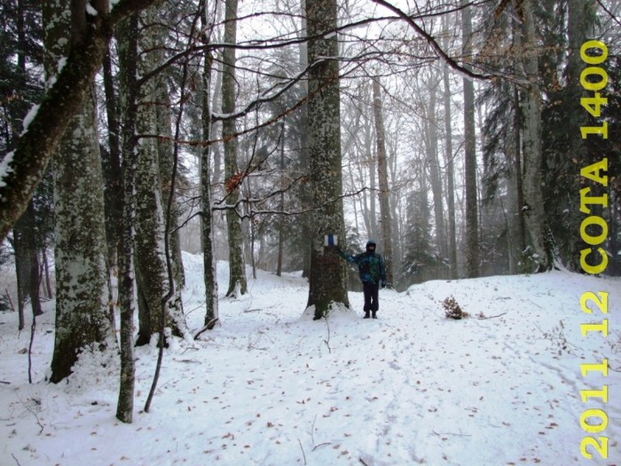 2011-12-28 COTA1400 127 - 2011 12 spre Sinaia