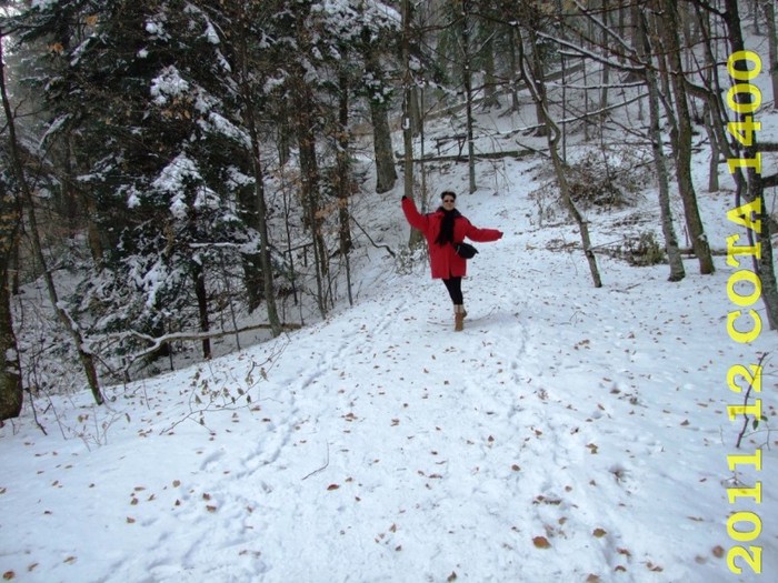 2011-12-28 COTA1400 128 - 2011 12 spre Sinaia