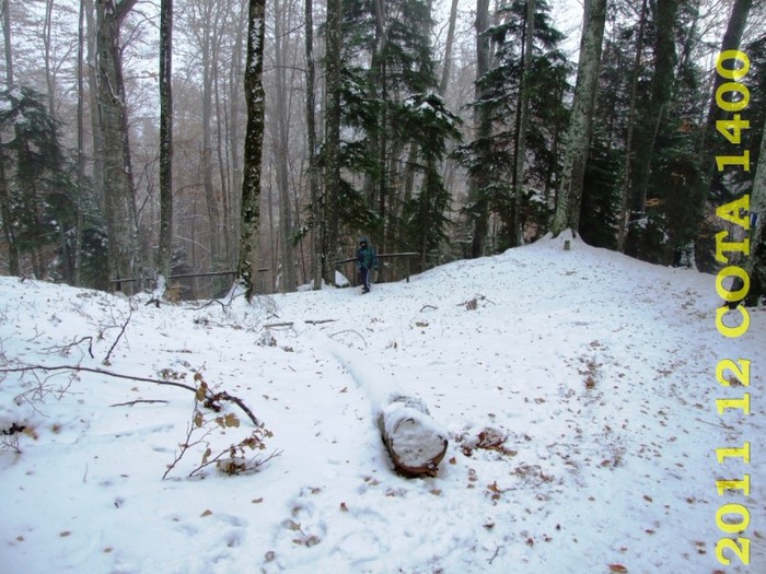 2011-12-28 COTA1400 129 - 2011 12 spre Sinaia