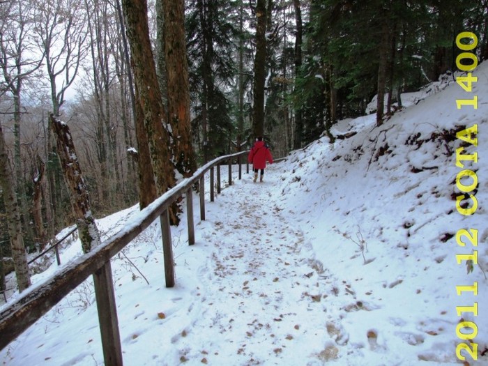 2011-12-28 COTA1400 134 - 2011 12 spre Sinaia