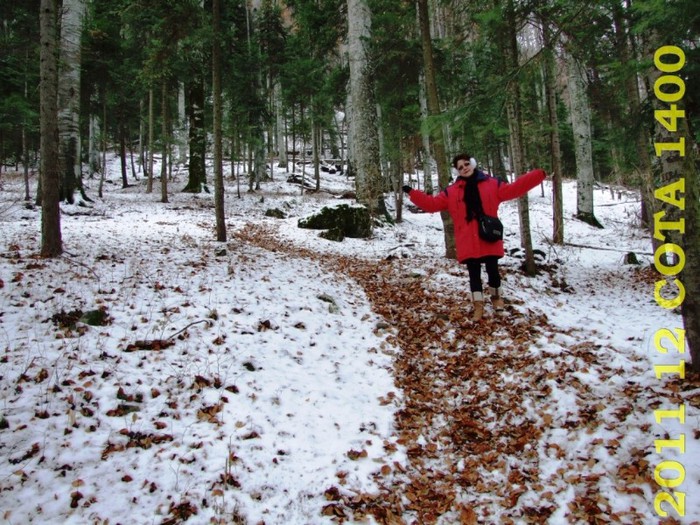 2011-12-28 COTA1400 139 - 2011 12 spre Sinaia